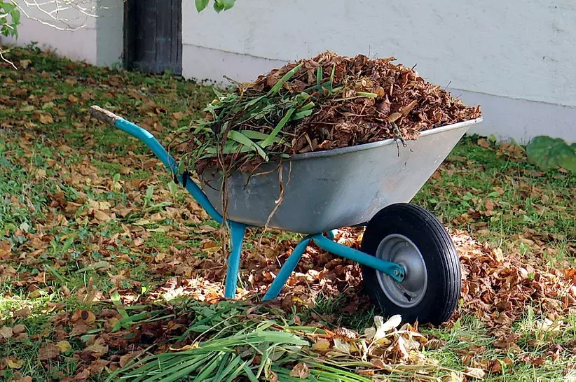 mantenimiento de jardines limpieza de residuos verdes